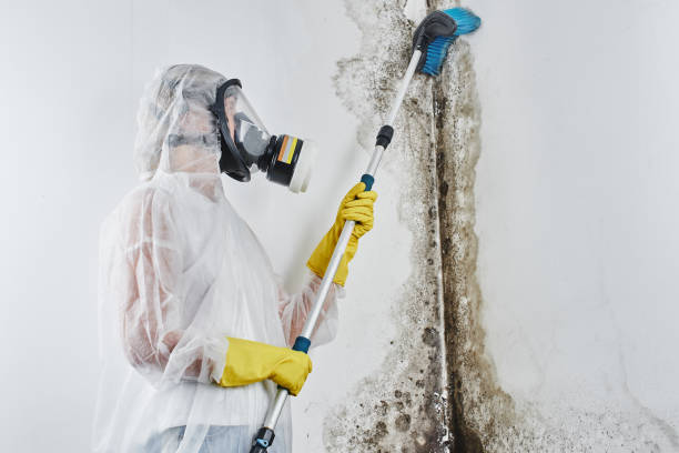 Crawl Space Mold Removal in San Clemente, CA