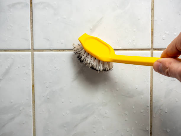  San Clemente, CA Mold Removal Pros