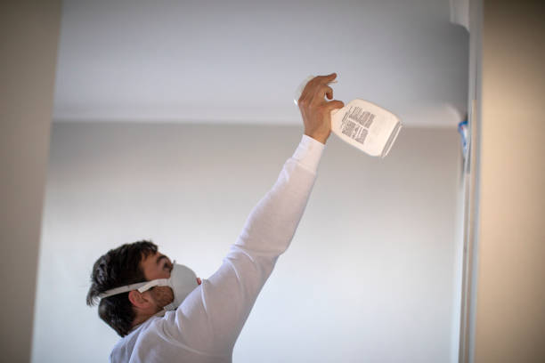 Best Same-Day Mold Removal  in San Clemente, CA