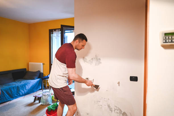 Best Black Mold Removal  in San Clemente, CA